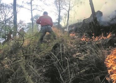 Reportan 13 incendios en lo que va del día en CDMX