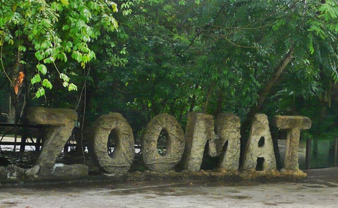 Foto: Oscar Gutiérrez / EL UNIVERSAL