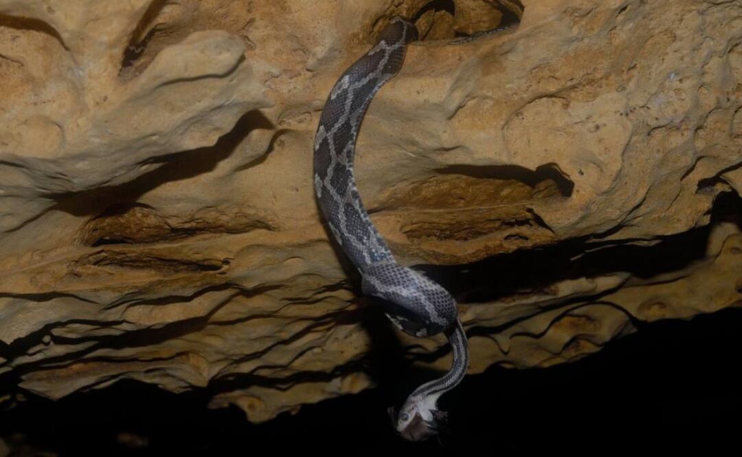 La "cueva de las serpientes", en Kantemó. (Foto: EcoColors Tours)