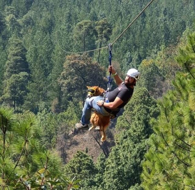 Cuánto cuesta ir a Alpinia, el parque de naturaleza en Puebla