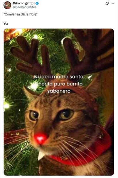Memes de diciembre. Foto: X