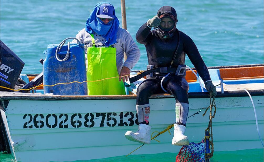 En el Canal del Infiernillo, Sonora, México, buzos como el de la foto se sumergen en el mar para capturar callos de hacha (Atrina maura), un molusco muy apetecido para la elaboración de ceviche. El buceo es una forma de pesca artesanal.  |  CRÉDITO: XAVIER BASURTO
