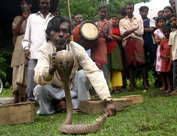 Encantador es mordido por su serpiente y muere en plena calle