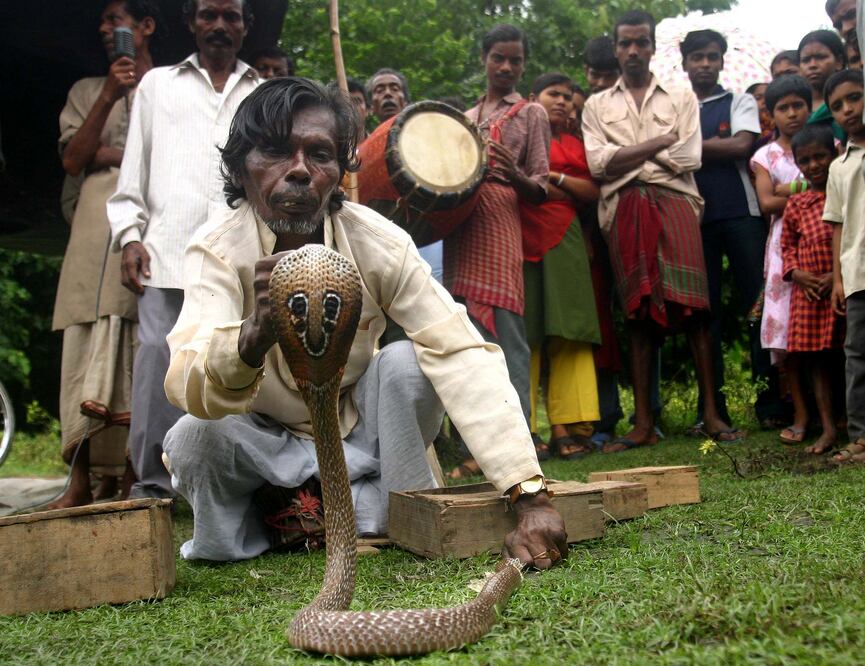 Imagen ilustrativa (Foto: AP/Archivo)