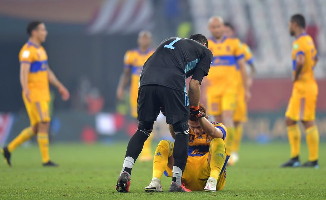 Tigres y la ilusión a la ignorancia