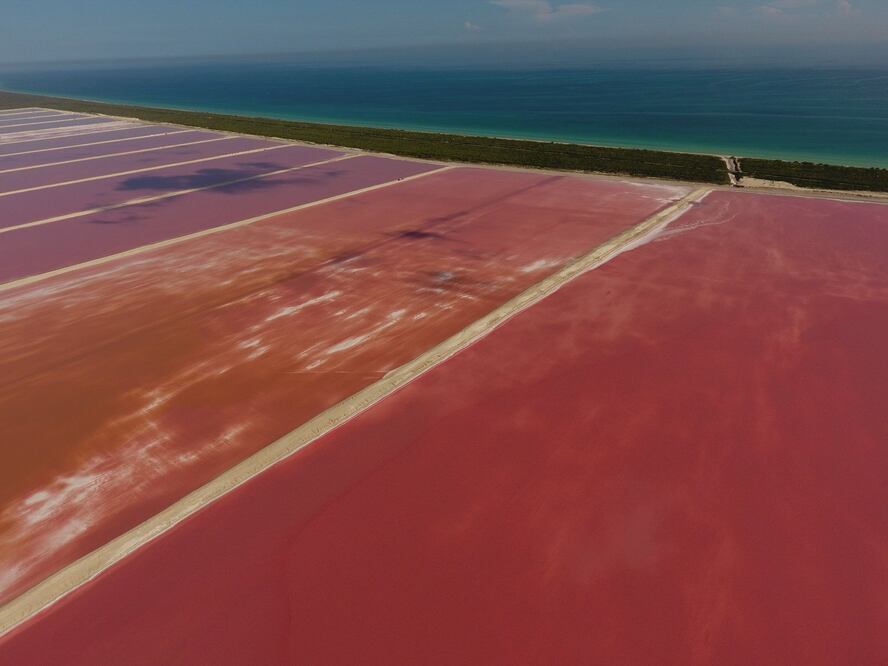 Las Coloradas, Yucatán. (Foto: Cortesía Río Lagartos Adventures)