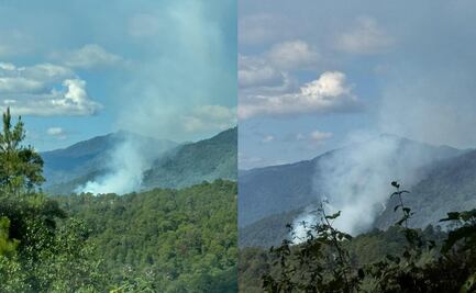 Reportan incendio forestal fuera de control en Juxtlahuaca, Oaxaca; comunidades triquis piden apoyo urgente