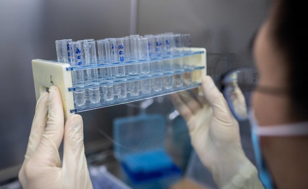 Imagen ilustrativa. Foto: NICOLAS ASFOURI / AFP