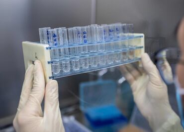 ¿Qué propone la OMS para elegir la vacuna más eficaz para Covid-19?