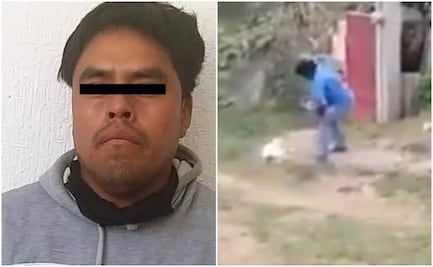 Vinculan por maltrato animal a sujeto que mató con un machete a la perrita "Masha"