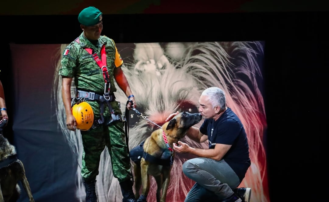 Foto: Diego Simón Sánchez / EL UNIVERSAL