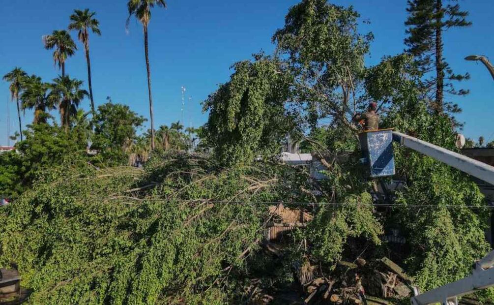 Afectaciones por huracán norma. Foto: Especial
