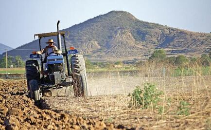 Internal migration expected in Mexico over climate change