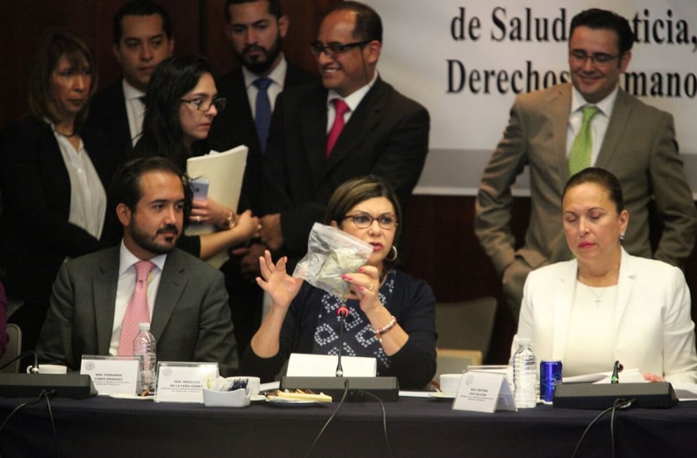 Foto: Lucía Godínez/EL UNIVERSAL