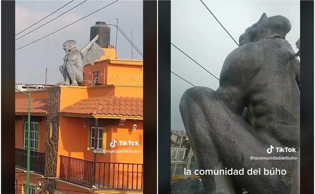 Foto: Tomada de video @lacomunidaddelbuho