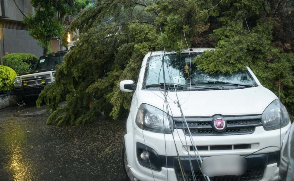 Lluvias derriban poste y árbol en la alcaldía Cuauhtémoc; vehículo resulta afectado.
Foto: Especial.