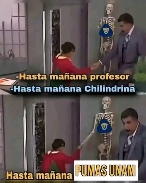 FOTO: ESPECIAL - MEMES PUMAS