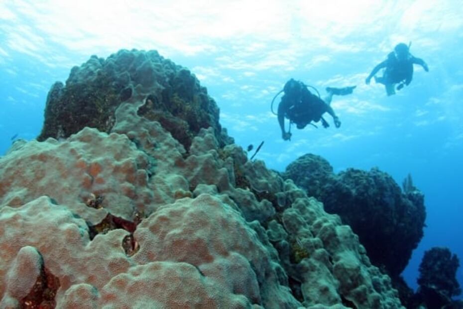 Banco Chinchorro: así es el atolón más grande de México