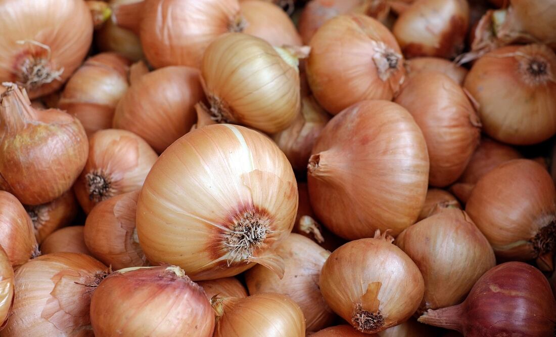 De acuerdo con la Secretaría de Agricultura y Desarrollo Rural, en México, la cebolla es la hortaliza más importante que se cultiva / Foto: Pixabay