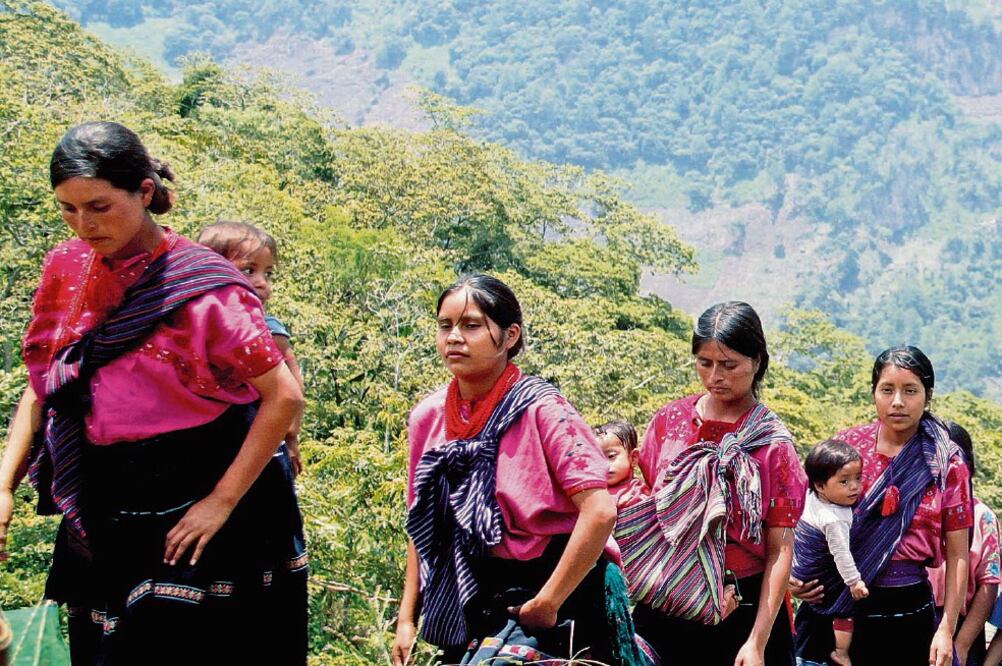 Iniciativa . La SG asegura que urge una ley que proteja a quienes son desplazados por la fuerza. Foto: ARCHIVO EL UNIVERSAL