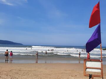 Por ataques de peces morena, playas de Nayarit se mantienen cerradas