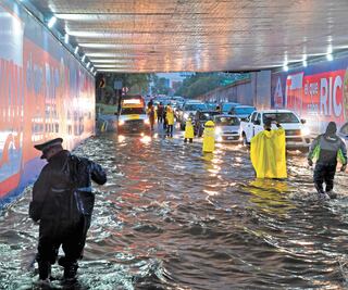 Lluvia provoca caída de árboles e inundaciones 