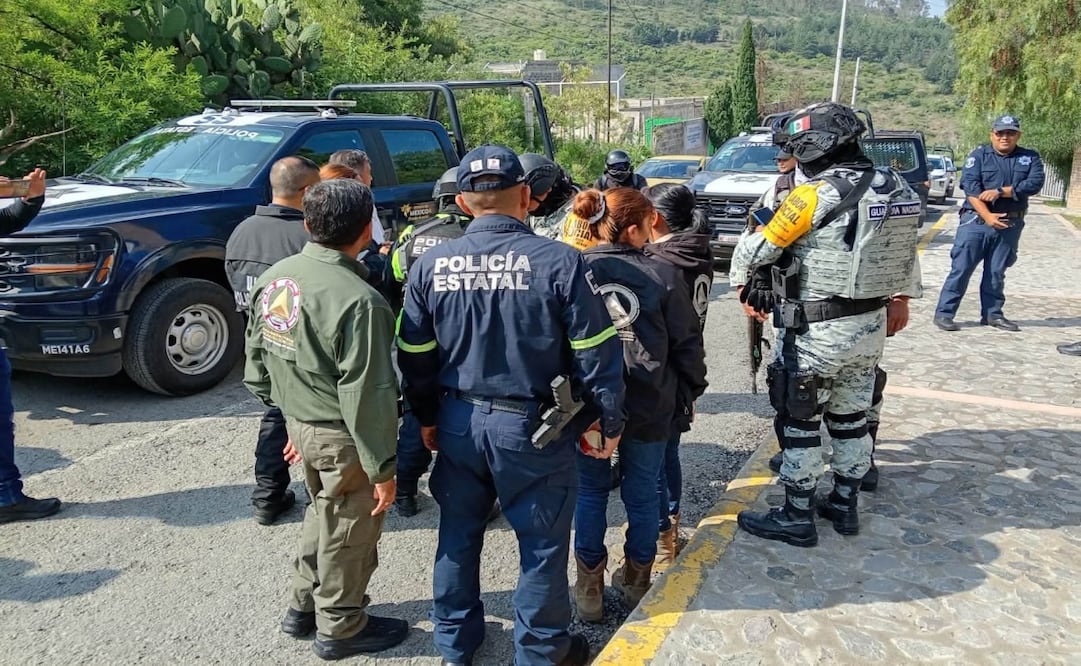 Buscan a tigre que escapó en Edomex. Foto: Especial
