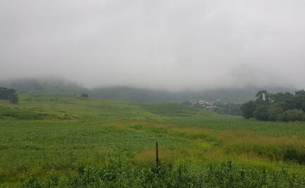 Poblado de San Juanito alcanza la temperatura más fría de la temporada en Chihuahua; registra -9.5 grados centígrados