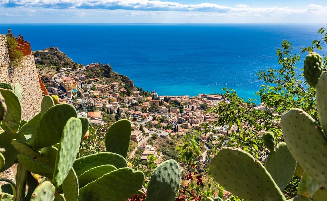 El nopal llego hace aproximadamente 500 años a Europa y en Italia se le conoce como opuntia. Foto: iStock