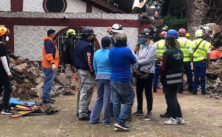 Brigadas, fundaciones y hospitales atienden a perritos de albergue sepultado por deslave en Xochimilco
