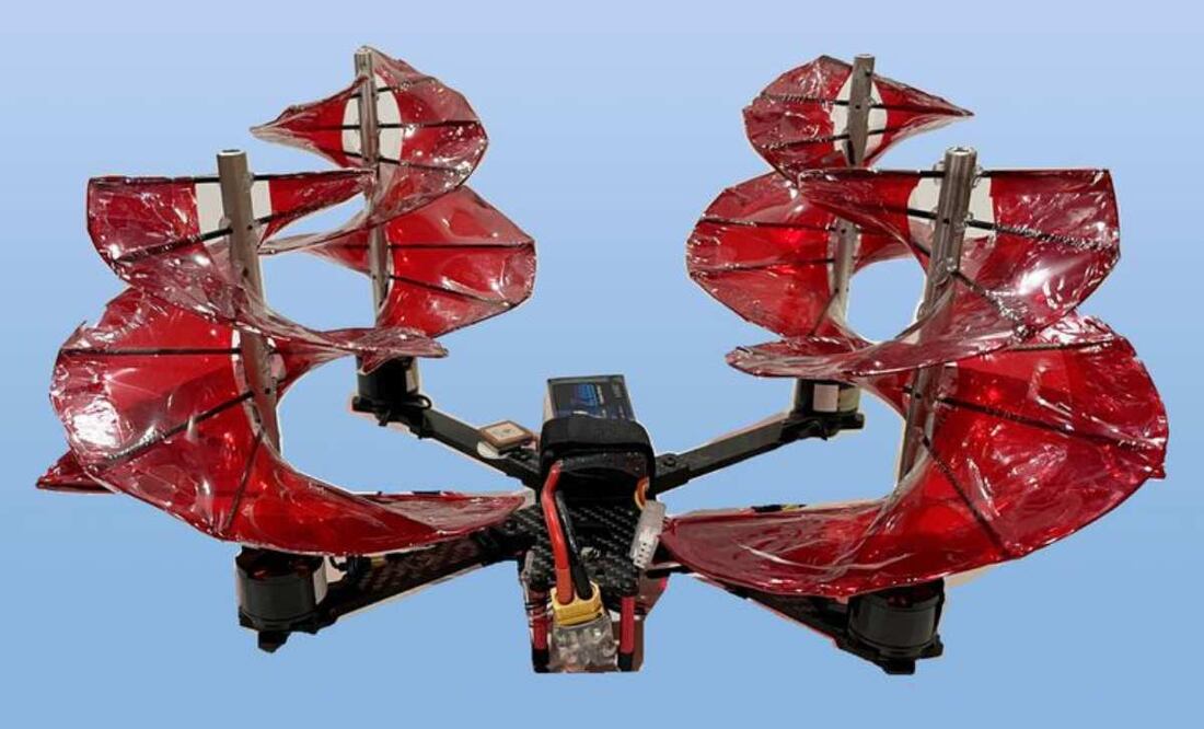 Imagen: Austin Prete/Universidad de Maryland