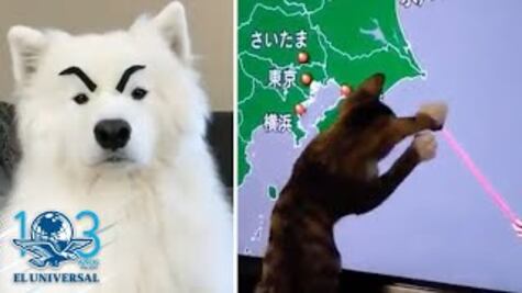 ¡Los adorables de la semana!