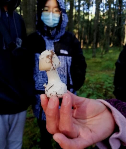 Si vas al Santuario de las Luciérnagas, NO hagas esto