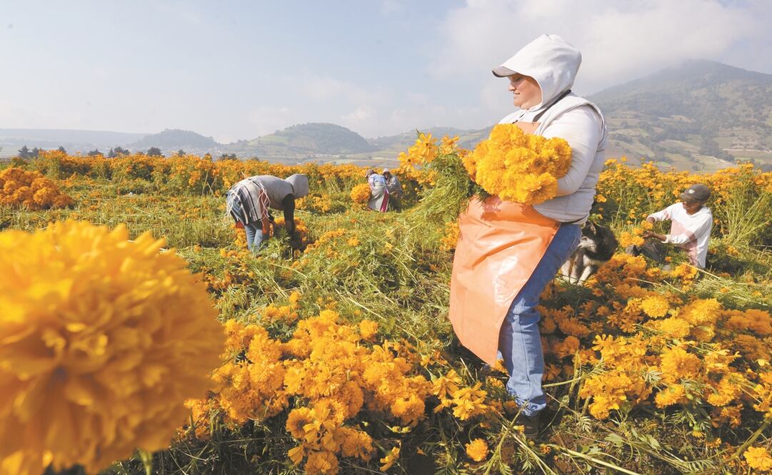 Foto: Archivo/EL UNIVERSAL.