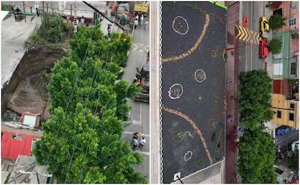 Tapan socavón con jardín polinizador en Deportivo Gertrudis Sánchez