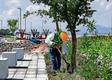 Ven daños a proyecto que sustituyó al NAICM