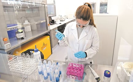 Alertan por brecha de género en carreras de ciencia, tecnología, ingeniería y matemáticas; desigualdad persiste, señala