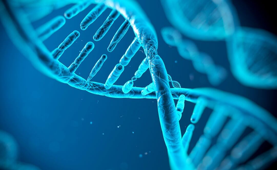 (FOTO: Archivo/EL UNIVERSAL)