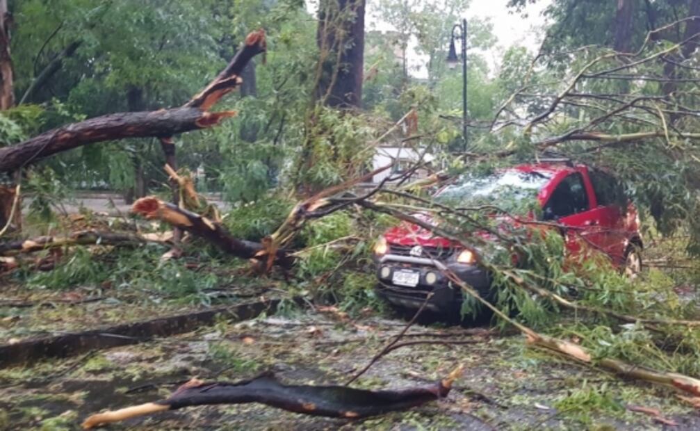 Lluvias dejan caídas de árboles y casas inundadas en Morelia