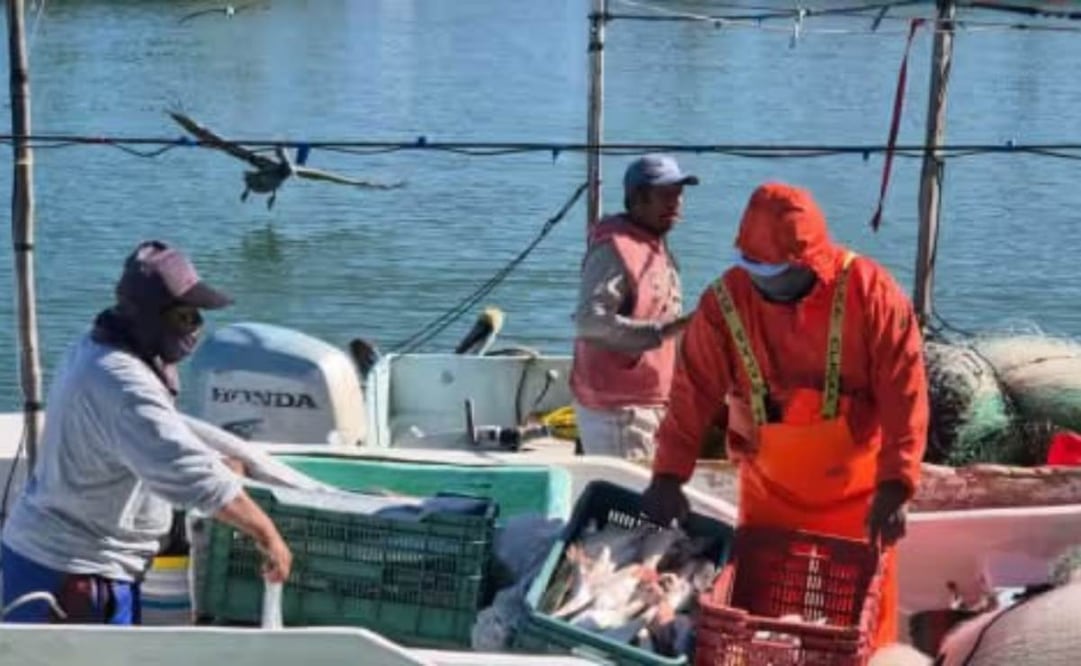 Pescadores y ambientalistas advierten por manchas de petróleo en varios puntos de Campeche (10/03/2026). Foto: Especial