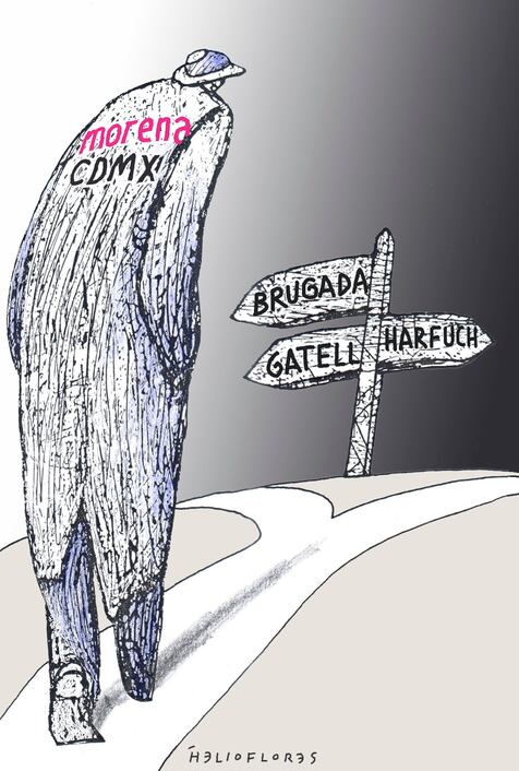 Cartón de HELIOFLORES