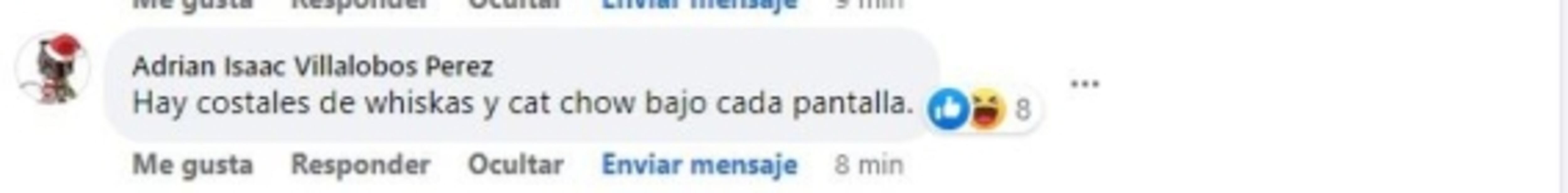 "Que acaben la primaria"; concierto de Grupo Firme desata comentarios clasistas en redes