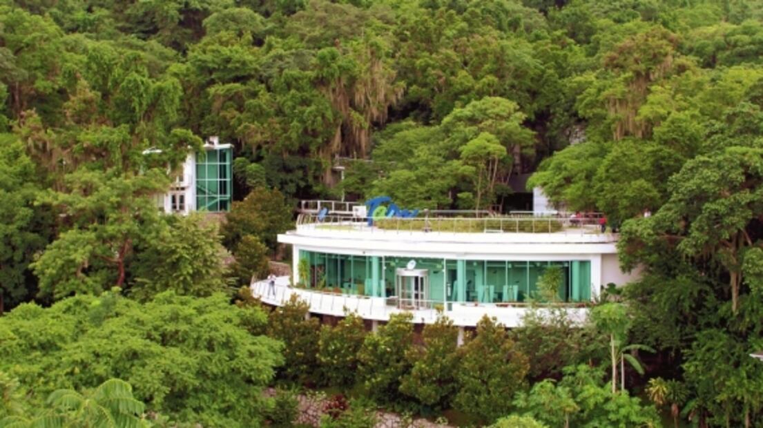 El Cielo, la increíble Reserva de la Biósfera de México  