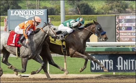 Suspenden carreras en California tras la muerte de 21 caballos