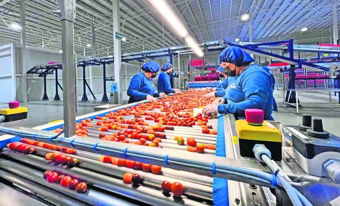 En un ambiente de incertidumbre, las Pymes son las más afectadas, dijo Marisol Rumayor. Foto: Archivo | El Universal