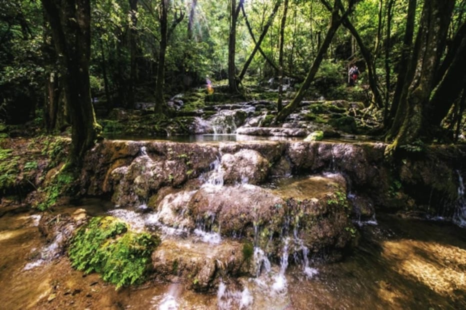 Selección de la editora: 5 paraísos de vida silvestre en México que otros países envidiarían