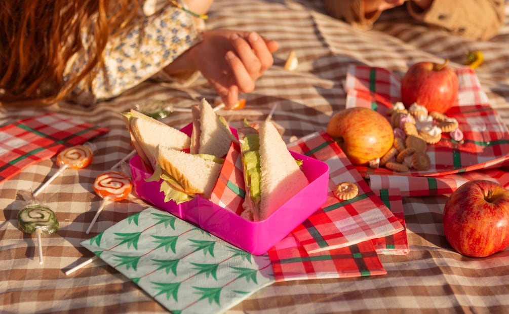 En cada edición del Querido Picnic Ambientalista hay actividades diferentes. Foto: Freepik