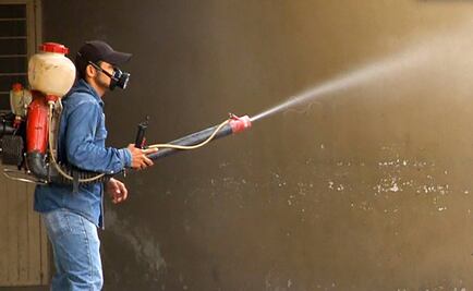 Buscan nuevas formas para acabar con el zika