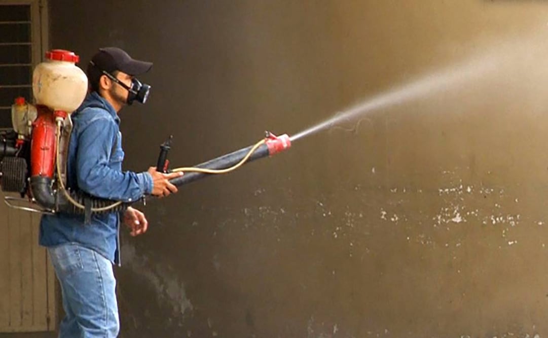 OMS declaró que la propagación explosiva del zika en América era una emergencia global. Foto: