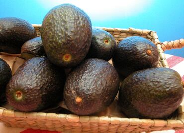 Aguacate se vende hasta en $75 el kilo, reporta Profeco